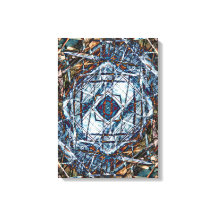 サーチライト衛星