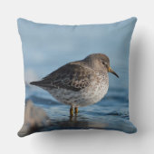 サーチロックサンドパイパー クッション (裏面)