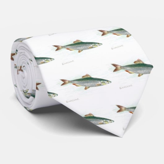 サーディン ネクタイ (ロール)
