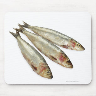 サーディン(Pilchards) マウスパッド