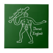 サーネジャイアントタイル タイル (正面)