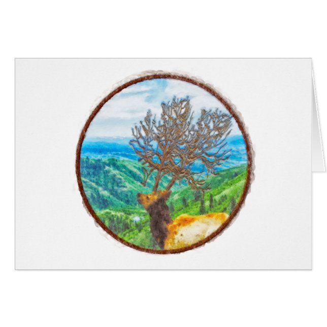 サーバス王 (正面横)