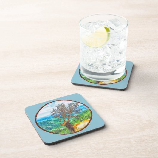 サーバス王 コースター (右側)