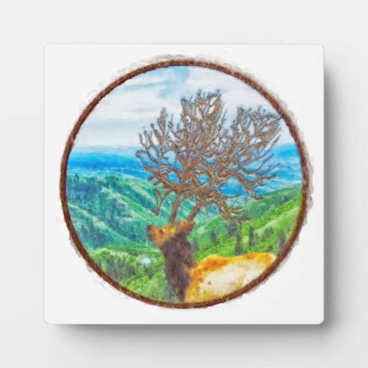 サーバス王 フォトプラーク (正面)