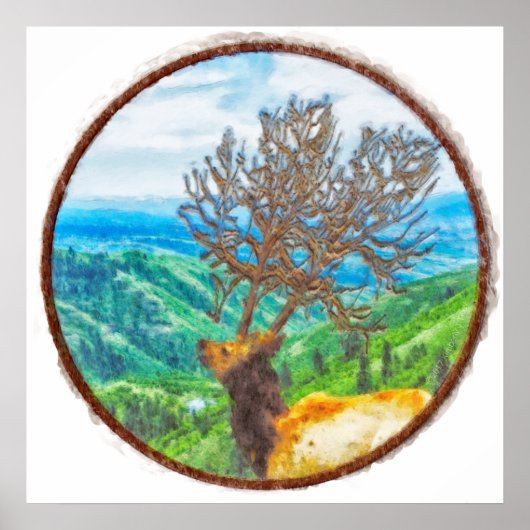 サーバス王 ポスター (正面)