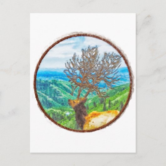 サーバス王 ポストカード (正面)