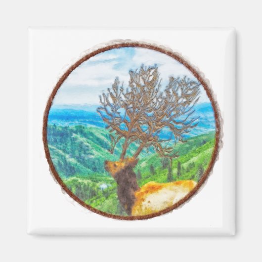 サーバス王 マグネット (正面)