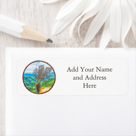 サーバス王 ラベル (インサイチュ)