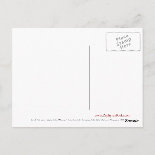 サーバル ポストカード (裏面)