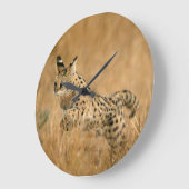 サーバル(Leptailurusのサーバル)の跳躍 ラージ壁時計 (傾斜)