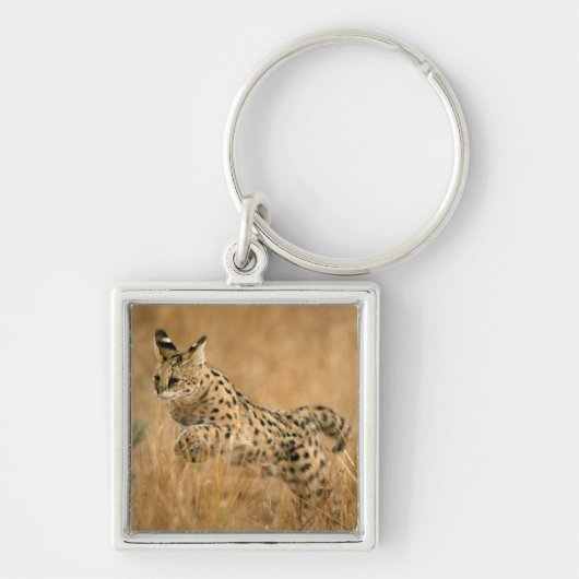 サーバル(Leptailurus Serval)ジャンピング キーホルダー (正面)