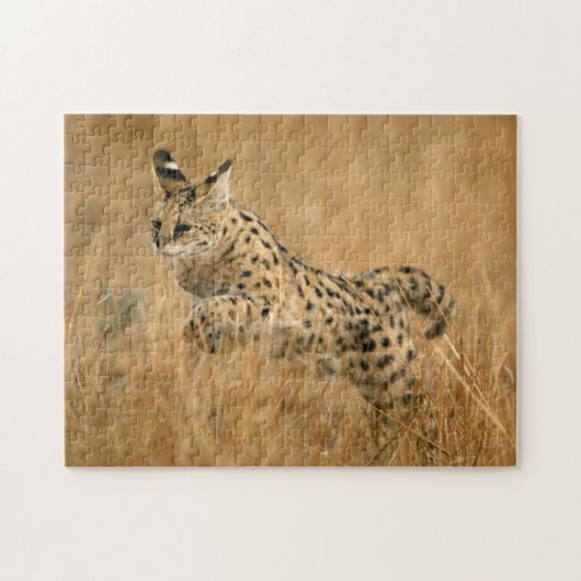 サーバル (Leptailurus serval) ジャンピング ジグソーパズル (横)