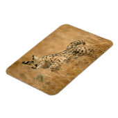 サーバル (Leptailurus Serval) ジャンピング マグネット (左側)