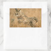 サーバル(Leptailurus serval)ジャンピング 長方形シール (バッグ)