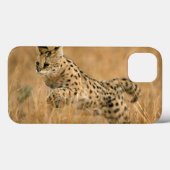 サーバル (Leptailurus serval) ジャンピング Case-Mate iPhoneケース (裏面 (横))