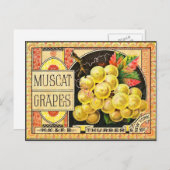 サーバーマスカットのブドウ – ヴィンテージクレートラベル ポストカード (正面/裏面)