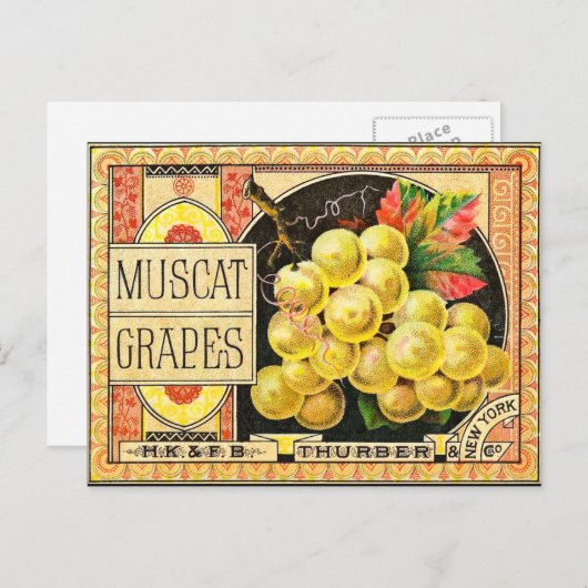 サーバーマスカットのブドウ – ヴィンテージクレートラベル ポストカード (正面/裏面)