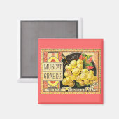 サーバーマスカットのブドウ – ヴィンテージクレートラベル マグネット (正面/裏面)