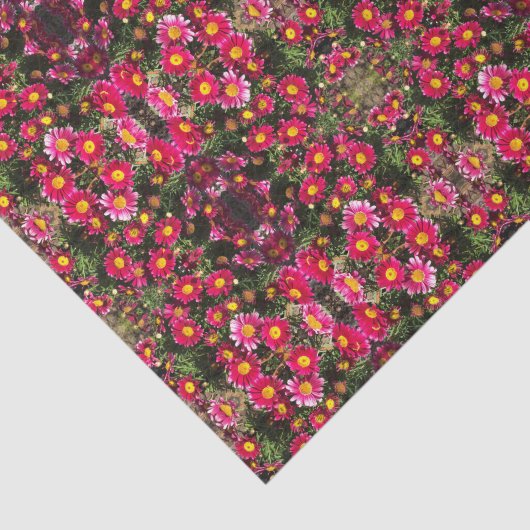 サービスかわいらしデイジーのパターン（の模様が）ある切り離し 薄葉紙 (詳細)