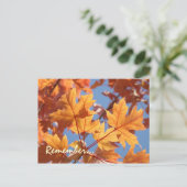 サービスポストカードリマインダー年間サービス時間 ポストカード (スタンド正面)