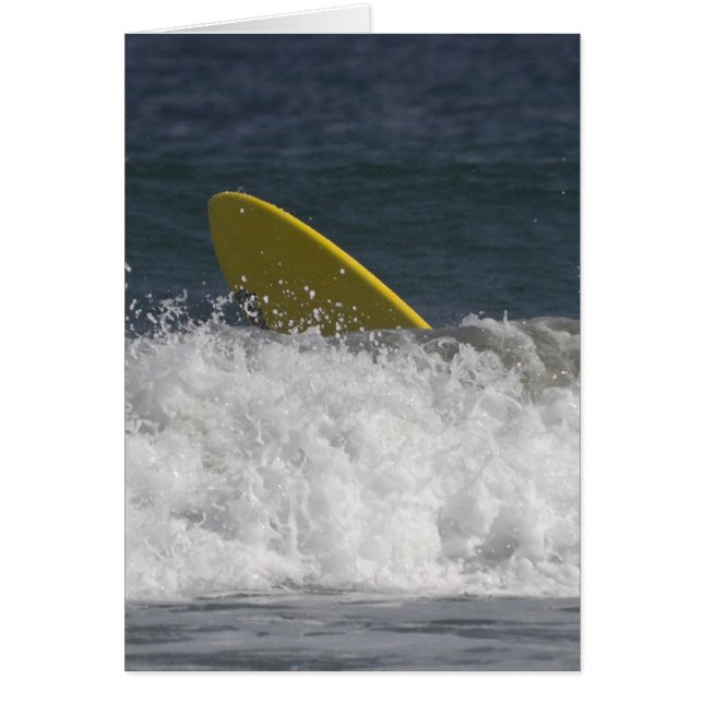 サーフがアップ！ (正面)