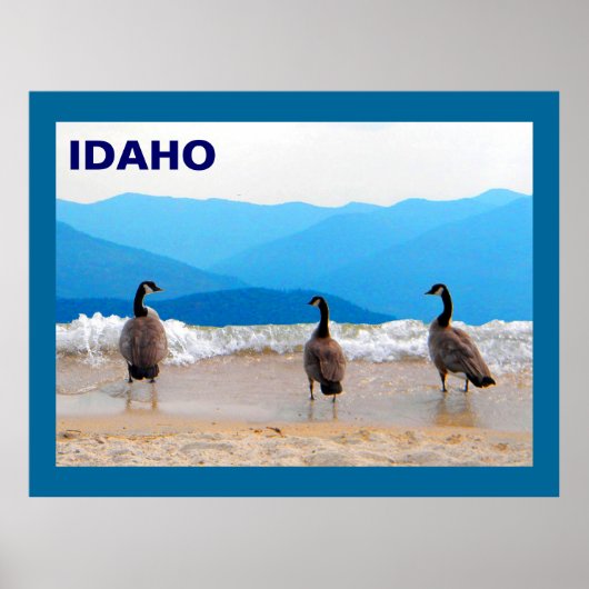 サーフがアップ! – ゲーゼ ポスター (正面)