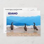 サーフがアップ! – ゲーゼ ポストカード (正面/裏面)