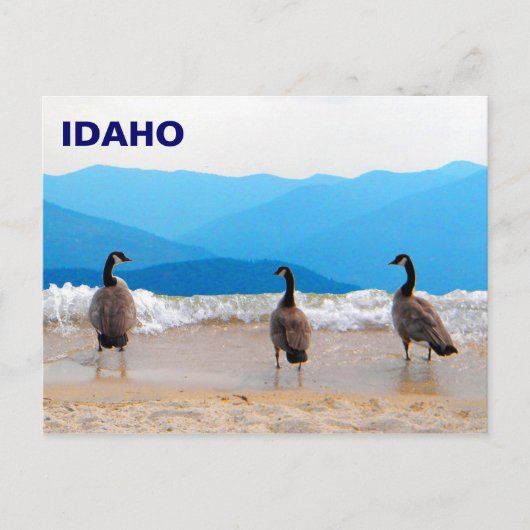 サーフがアップ! – ゲーゼ ポストカード (正面)