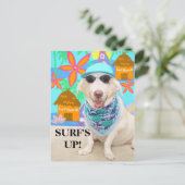 サーフが来た！ ポストカード (スタンド正面)