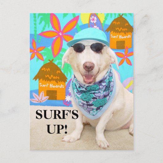 サーフが来た！ ポストカード (正面)