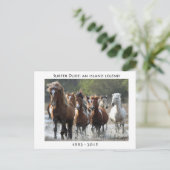 サーファーと彼のバンド ポストカード (スタンド正面)