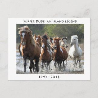 サーファーと彼のバンド ポストカード