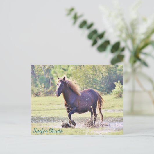 サーファーのお兄さん、浅瀬を歩く ポストカード (スタンド正面)