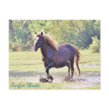 サーファーのお兄さん、浅瀬を歩く