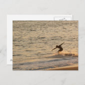 サーファー・デュデ ポストカード (正面/裏面)