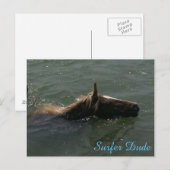 サーファー・デュード葉書 ポストカード (正面/裏面)