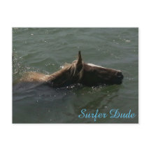 サーファー・デュード葉書