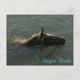 サーファー・デュード葉書 ポストカード