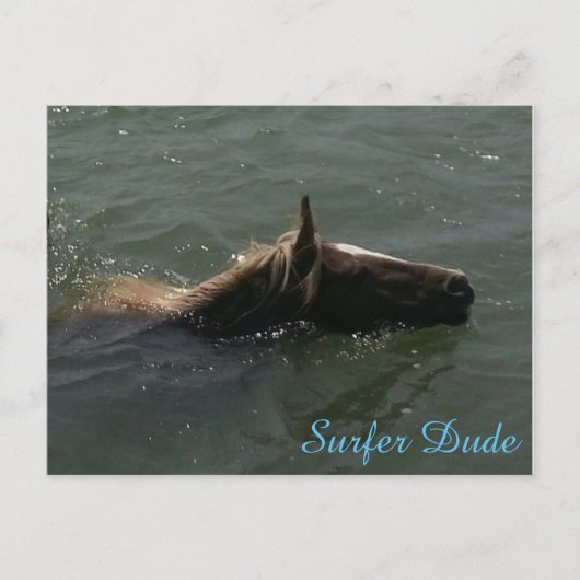 サーファー・デュード葉書 ポストカード (正面)