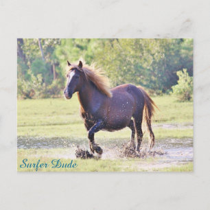 サーファー・ドゥード・ウェディング ポストカード
