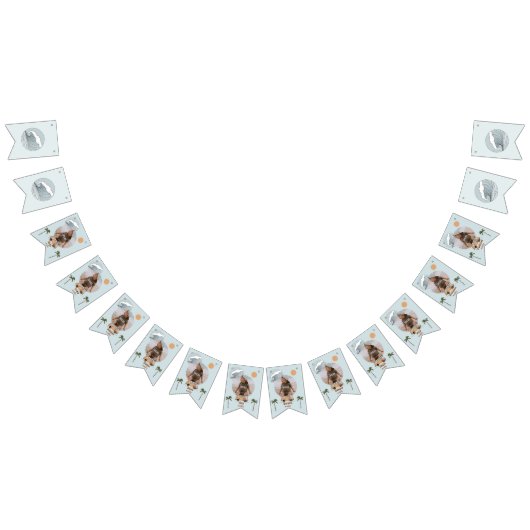 サーフアップザビッグワン最初の誕生日バンティングフラグ バンティングフラッグ (全)