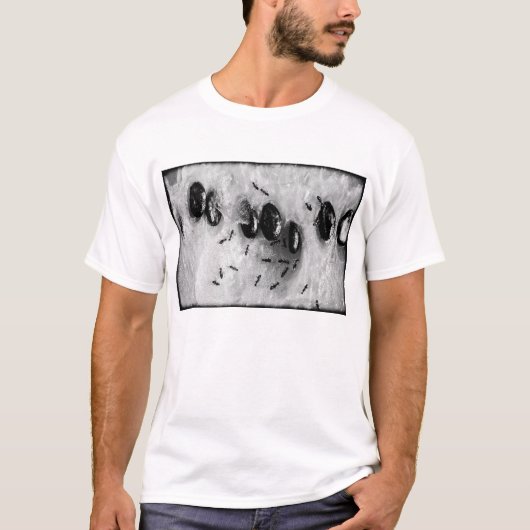 サーフィンをするアリ Tシャツ (正面)