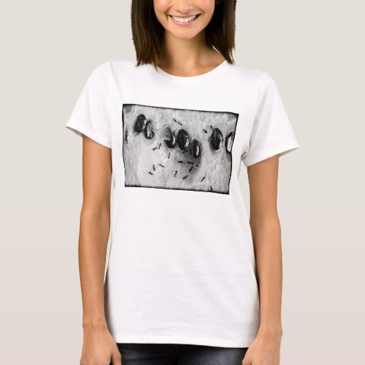 サーフィンをするアリ Tシャツ (正面)