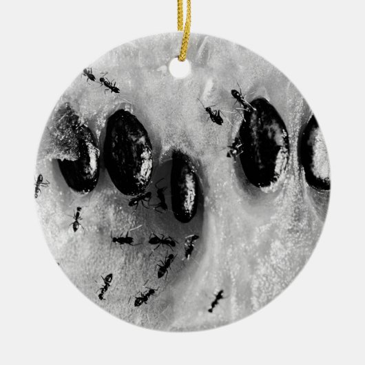 サーフィンアリ セラミックオーナメント (正面)