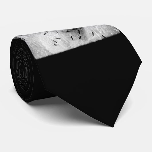 サーフィンアリ ネクタイ (ロール)