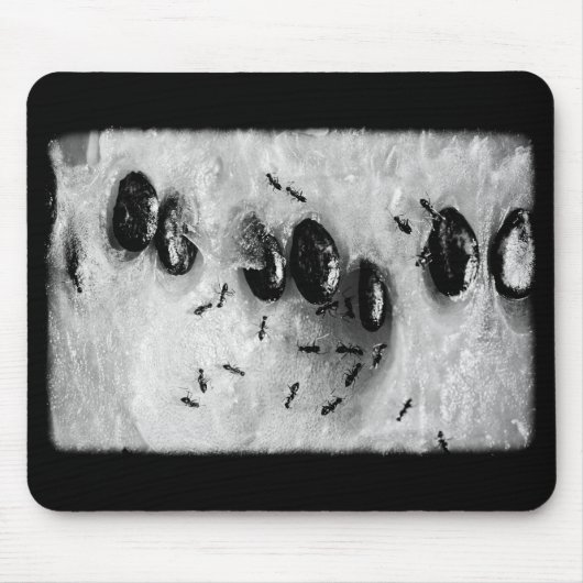 サーフィンアリ マウスパッド (正面)