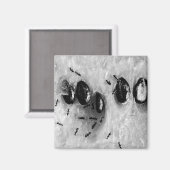 サーフィンアリ マグネット (正面/裏面)