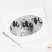 サーフィンアリ 楕円形シール (封筒)