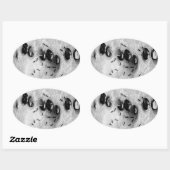 サーフィンアリ 楕円形シール (シート)