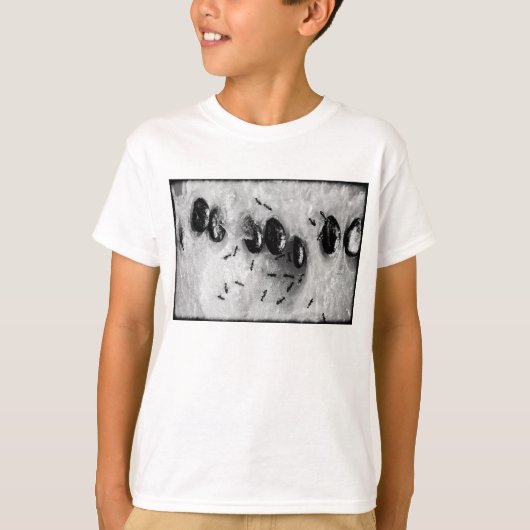 サーフィンアリ Tシャツ (正面)